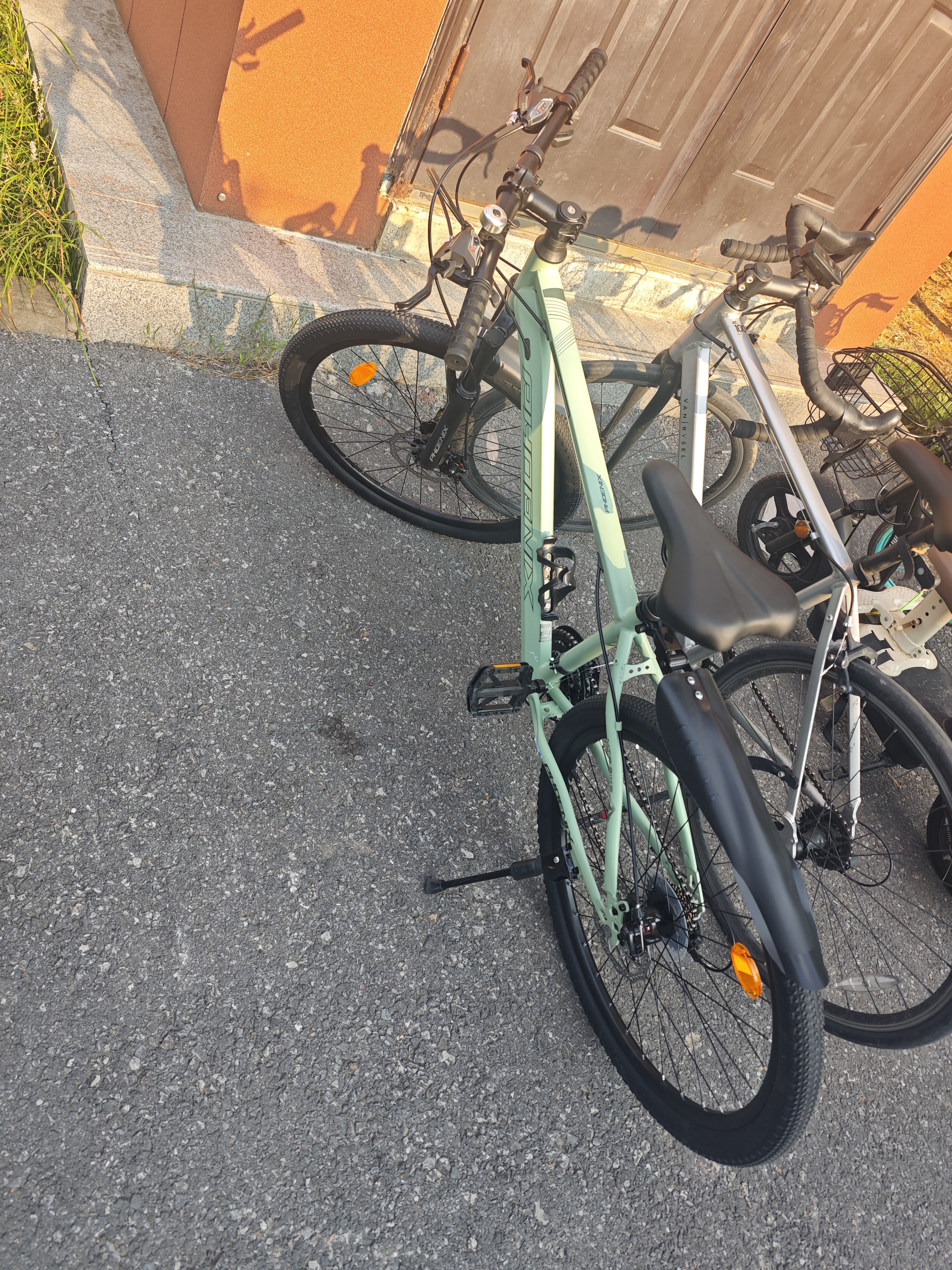 凤凰（Phoenix） 上海凤凰山地自行车成人男士女式学生变速宽胎越野赛车公路单车 钢架辐条轮绿【省力全轴承】 26寸24速【参考:158-188cm】 实拍图
