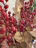 京东鲜花玫瑰花【红色随机】20枝新鲜采摘山东基地日常礼品花暖心源头直发 实拍图