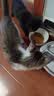 多特思湿猫粮幼猫奶糕酱离乳期幼猫零食猫条进口羊乳羊奶益生元猫条25支 实拍图