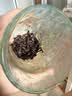 御举茗普洱熟茶 老班章普洱茶熟茶叶礼盒送礼 云南熟普洱茶饼自己喝 【特色糯香】糯香普洱熟茶 357g*1 饼 实拍图