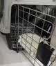 腆宠宠物航空箱小号 猫咪航空箱猫狗 猫包猫笼外出车载猫箱狗狗托运 实拍图