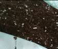 德沃多养花专用营养土50L园艺盆栽有机种植花土月季栀子花蝴蝶兰 实拍图
