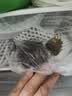 泉林本色有芯卷纸 本色经典3层280节27卷 卫生纸巾厕纸手纸卷筒纸整箱实惠 实拍图
