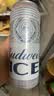 百威冰啤酒500ml*18听整箱装【99%好评】京东自营中秋送礼 实拍图