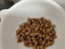 冠能猫粮 成猫猫粮鸡肉味10kg 全价猫粮 稳固免疫【宠物金选】 实拍图