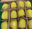 佳沛（zespri）新西兰 阳光金奇异果12粒特大果单果124-146g 猕猴桃水果礼盒 实拍图