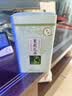 浓香飘雪特级茉莉花茶2026新茶广西横县茉莉银针嫩芽浓香型罐装茶叶礼盒装 特级全嫩芽  罐装 125g 实拍图