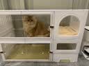 蔻丝猫别墅带厕所一体家用透明猫笼子大号猫柜 实拍图