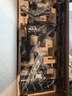 苏泊尔吸尘器家用无线手持大吸力大功率光照显尘长续航宠物家庭适用C10 PLUS-L 实拍图