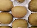 佳沛（zespri）新西兰金奇异果18粒超大原箱175-204g猕猴桃中秋节礼品送水果礼盒 实拍图
