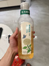 农夫山泉东方树叶茉莉花茶900ml*12瓶无糖茶饮料0糖0脂0卡整箱装 实拍图