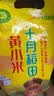 十月稻田 赤峰小米 5斤 内蒙古敖汉 小米黄小米 杂粮米 粗粮 早餐小米粥 实拍图