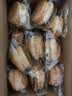 三只松鼠0蔗糖手撕面包1000g/箱 早餐小面包代餐饱腹零食酵母面包 实拍图