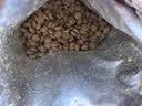 顽皮小金盾100%鲜肉全价成猫粮冻干猫粮100g鸭肉配方 实拍图