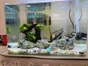 森森鱼缸增氧泵水族箱氧气泵LQE-50家用小型充氧泵3W单孔+全套配件 实拍图