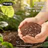 美益棵营养土养花通用型8L园艺专用种菜蔬菜多肉盆栽绿植种植泥炭土壤 实拍图