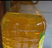 金龙鱼 食用油 非转基因 物理压榨玉米油6.18L（蕴含植物甾醇） 实拍图
