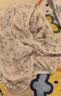 童泰【孕妈有礼-会员39.9元】婴儿衣服连体衣新生儿宝宝服纯棉春夏季 黄色贝贝熊（夏季款/纯棉） 59cm 实拍图