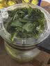 醉茗山正宗特级兰花香铁观音2026新茶清香型小袋装茶叶绿茶自己喝500g 实拍图