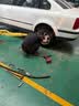 玲珑轮胎汽车轮胎195/65R15 91V 玲珑臻选HD 适配卡罗拉/朗逸/雷凌/宝来 实拍图