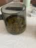 富光泡茶杯茶水分离耐热高硼硅玻璃办公室喝茶水杯子男女士花茶公道杯 实拍图