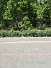 卡姿兰（Carslan）速描精细眉笔防水防汗精细笔芯带眉刷03自然棕0.1g七夕情人节礼物 实拍图