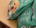 凯锐思幼犬狗粮 中大型小型犬4-12个月边牧金毛泰迪比熊博美柯基 6kg 实拍图
