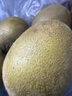 佳沛（zespri）新西兰  阳光金奇异果6粒装 单果约88-103g 猕猴桃水果 实拍图