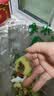 秘鲁进口哈斯牛油果 老树奶酪牛油果 新鲜孕妇水果宝宝辅食鳄梨 单果净重：190-210g 4粒独享装 实拍图