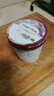 哈根达斯（Haagen-Dazs）葡萄朗姆酒大桶冰淇淋 473ml/桶 家庭装 雪糕 实拍图