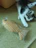 欢宠网猫玩具猫咪逗猫棒猫薄荷磨牙棒自嗨解闷神器磨牙猫猫小猫幼猫宠物 实拍图