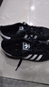 阿迪达斯（adidas）七夕礼物adidas三叶草贝壳头SUPERSTARII男女休闲鞋 JI0079 43码 实拍图