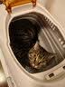 全家宠宠物航空箱天窗猫包猫咪外出便携笼子狗狗笼子托运猫箱车载太空舱 实拍图