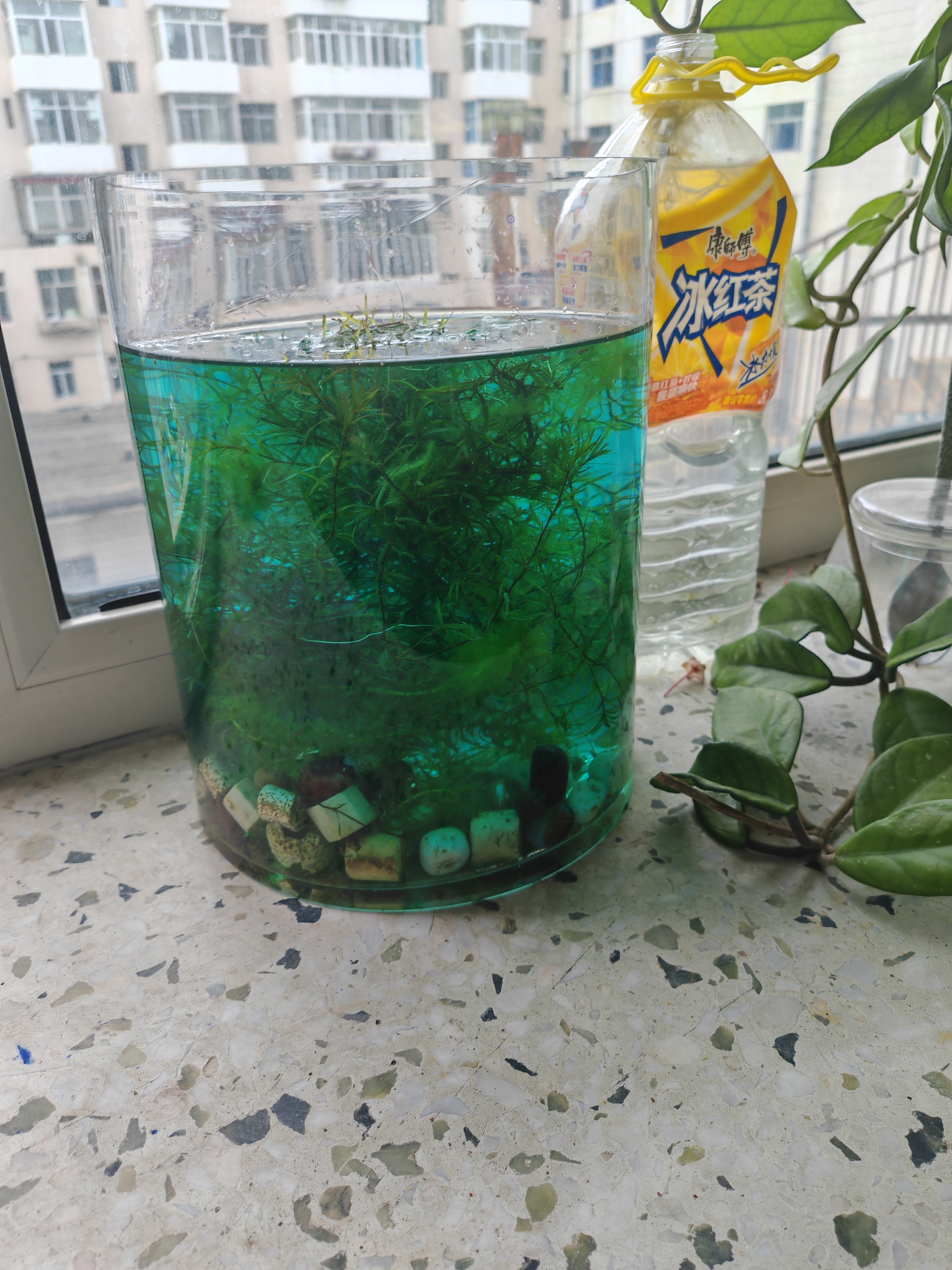 YEE亚甲基蓝鱼缸消毒杀菌观赏鱼锦鲤白点净水烂身烂尾300ml 实拍图