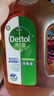 滴露（Dettol）消毒液 灭活流感HPV16病毒消毒水 除菌洗衣家居除螨杀菌预防流感 【杀菌除螨】松木1.8L 实拍图
