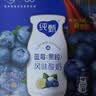 蒙牛纯甄「蓝莓果粒」风味酸奶200g*10盒 早餐奶酸牛奶 中秋送礼礼盒 实拍图
