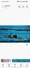 迪卡侬（DECATHLON）去氯洗发沐浴露二合一游泳专用除氯沐浴露女-5748320 实拍图