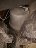 海尔（Haier）净水器家用厨下1200G流速母婴RO反渗透直饮净水机加热一体机餐边柜壁挂式管线机接自来水全屋套装 【性能套装】即热管线机+净水器 实拍图