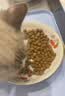 皇家布偶成猫粮 RA32 50g【活动专用请勿单独下单】 实拍图