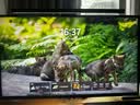泰坦军团27英寸双侧入光 2K 345Hz HDR600 DyDs0.5ms 硬件低蓝光 旋转升降 云上舞白电竞显示器 仓刀X276S+ 实拍图