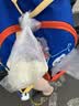 佳能（Glad）食品级保鲜袋超大号100个 平口点断式 食品塑料袋保鲜加厚RP30 实拍图