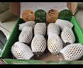 佳沛（zespri）新西兰金奇异果10粒巨大果146-175g猕猴桃中秋节礼品送水果礼盒 实拍图