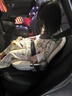 怡戈（Ekobebe）儿童安全座椅汽车用增高垫大童车载便携简易坐垫 麦浪米 实拍图