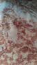 蒙豚有机草原黑猪 肉馅4斤（2斤/包）饺子馅 土猪猪肉生鲜 源头直发 实拍图