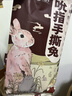 大嘴先生香辣手撕兔冷吃兔麻辣兔肉750g四川特产 冷吃兔 下酒菜开袋即食 实拍图
