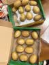 佳沛（zespri）新西兰金奇异果10粒巨大果146-175g猕猴桃中秋节礼品送水果礼盒 实拍图