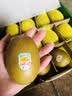 佳沛（zespri）新西兰 阳光金奇异果12粒特大果单果124-146g 猕猴桃水果礼盒 实拍图
