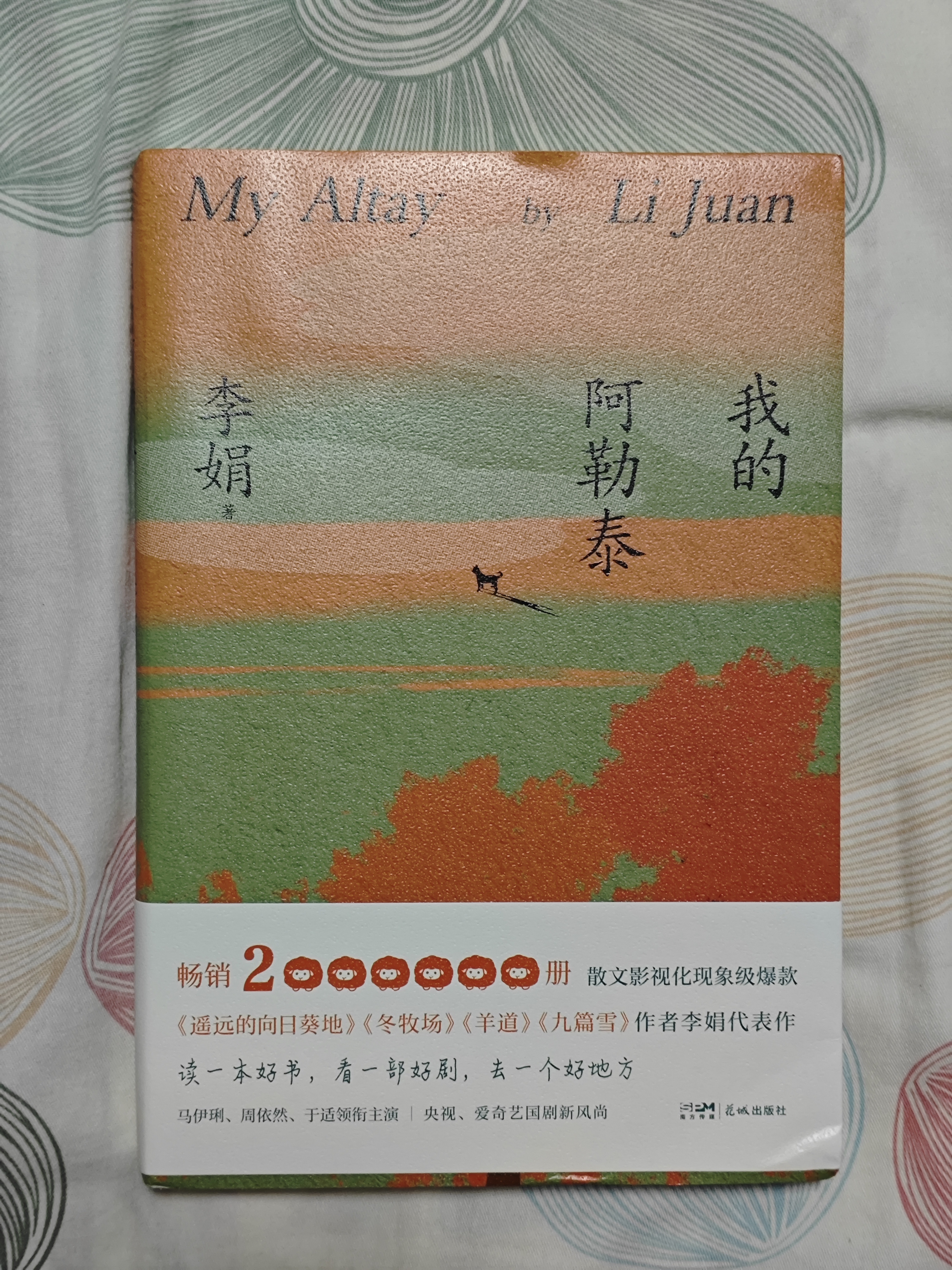 【自营包邮】我的阿勒泰 马伊琍 周依然 于适 蒋奇明主演的同名电视剧  新疆风光 李娟阿勒泰畅销代表作 实拍图