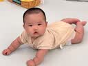 好奇（Huggies）小森林纸尿裤L40片(9-14kg)尿不湿心钻【纯净0添加】 实拍图