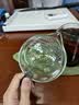高茗 公道杯耐热玻璃透明一体月牙过滤茶水分离杯泡茶公杯分茶器茶具 月落公杯450ml 实拍图